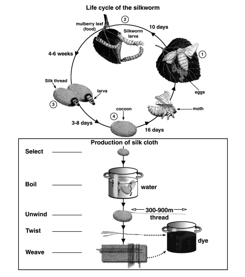 Enlarge diagram image