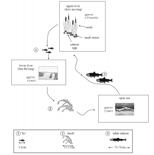 Enlarge diagram image