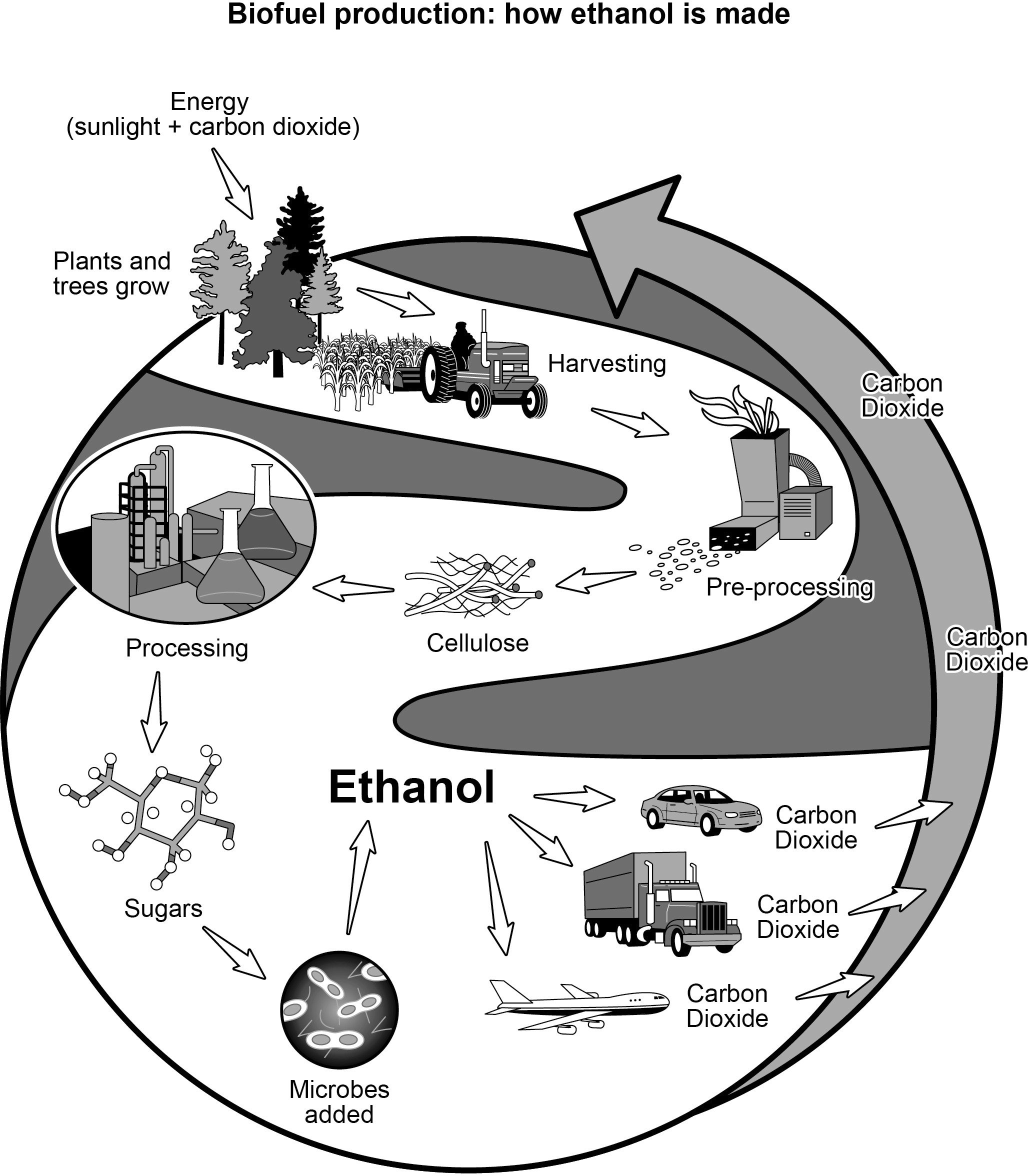 Enlarge diagram image